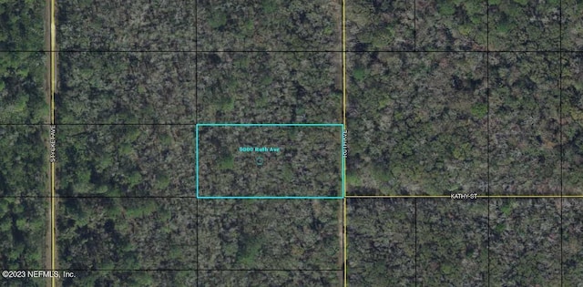 0000 Ruth Ave, Hastings FL, 32145 land for sale