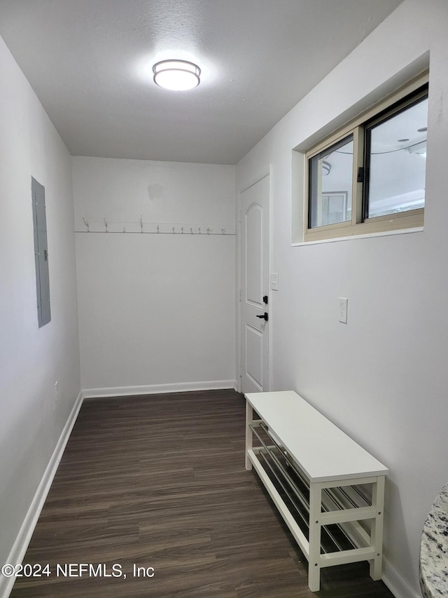 mudroom featuring electric panel and dark wood-type flooring