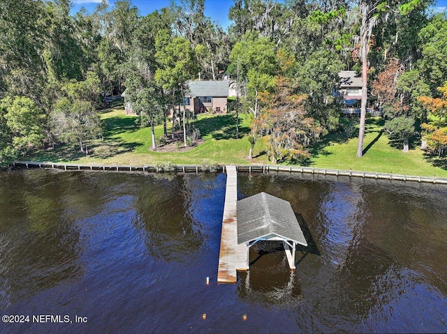 dock area with a water view