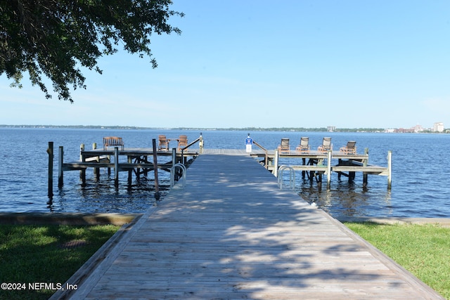 dock area with a water view