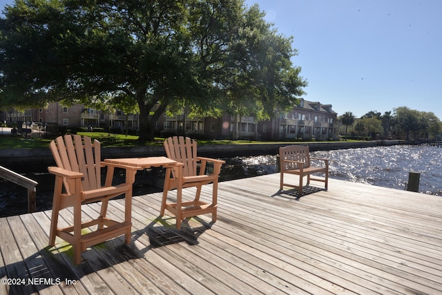 dock area with a water view