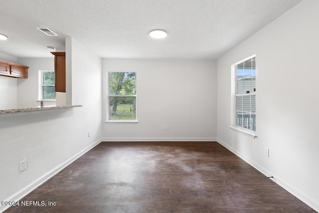 spare room featuring dark hardwood / wood-style flooring, a textured ceiling, and a wealth of natural light