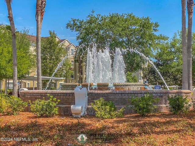 7801 Point Meadows Dr Unit 8406, Jacksonville, FL 32256 - view of home's community