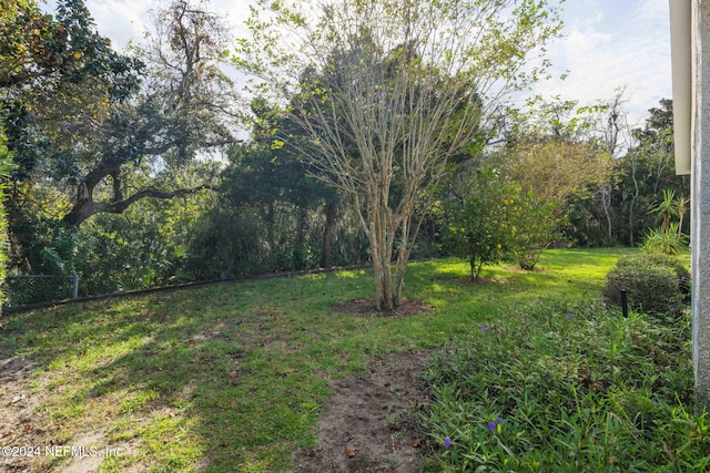 193 Lions Gate Dr, Saint Augustine, FL 32080 - view of green lawn