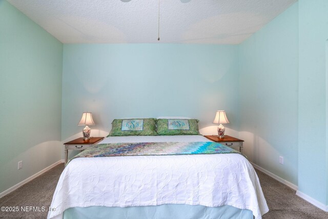 193 Lions Gate Dr, Saint Augustine, FL 32080 - bedroom featuring carpet floors, a textured ceiling, and baseboards