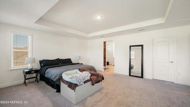 bedroom featuring light colored carpet and a raised ceiling