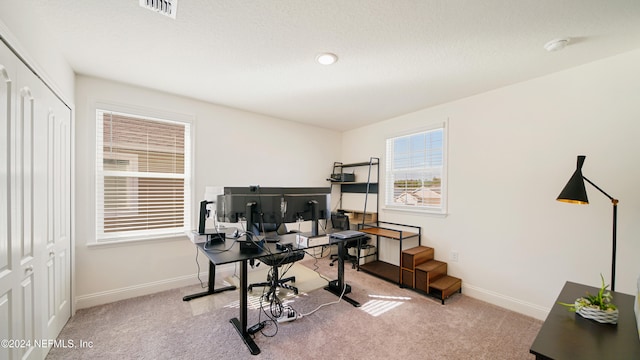 office space with light colored carpet and a textured ceiling