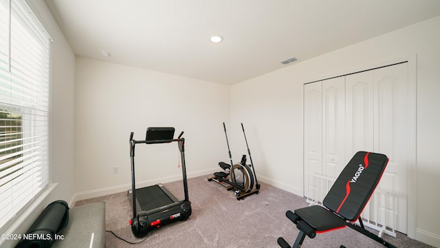 exercise room featuring carpet flooring