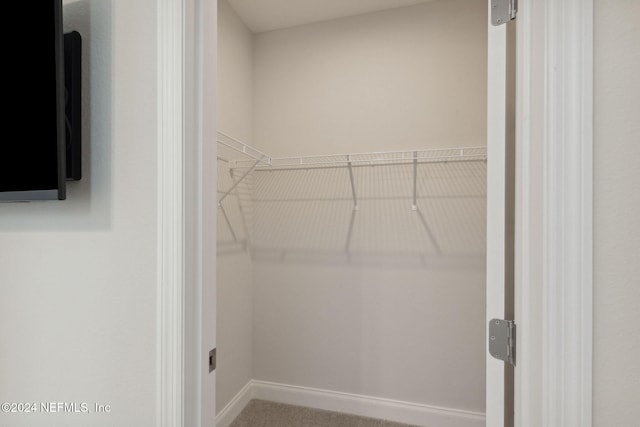 view of walk in closet