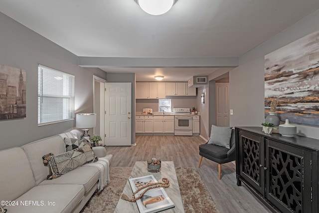 living room featuring light hardwood / wood-style floors