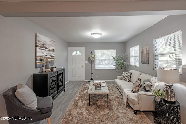 living room featuring hardwood / wood-style flooring