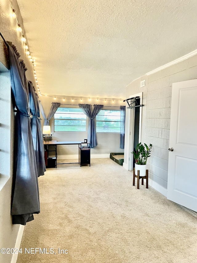 interior space featuring carpet and a textured ceiling