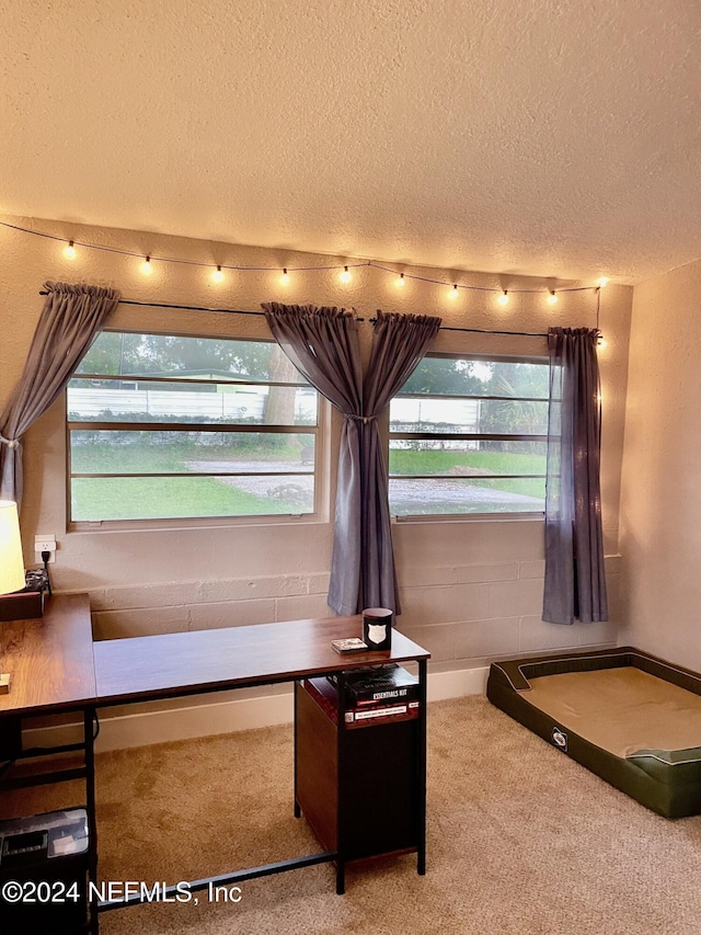 interior space with carpet flooring, multiple windows, and a textured ceiling