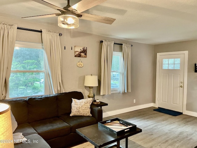 living room with ceiling fan, plenty of natural light, and wood-type flooring