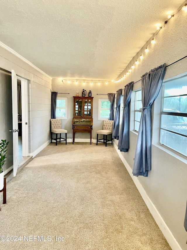 unfurnished room featuring carpet flooring, a textured ceiling, and rail lighting