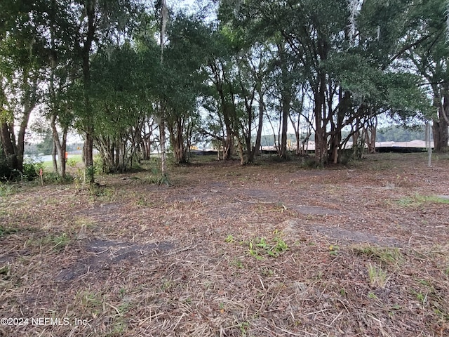 1250 Huntington Rd, Crescent City, FL 32112 - photo 11