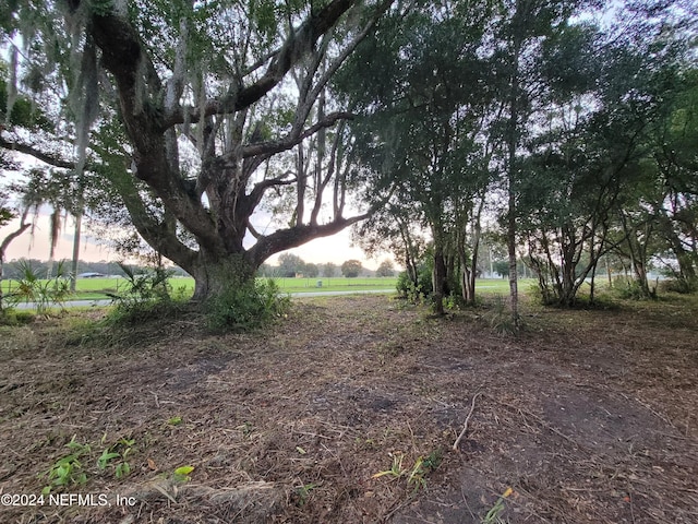 1250 Huntington Rd, Crescent City, FL 32112 - photo 14