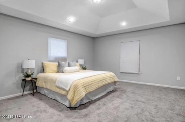 bedroom with carpet flooring and a raised ceiling