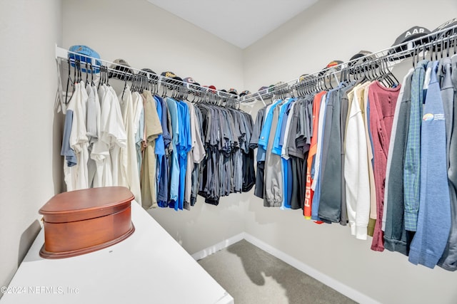 walk in closet with carpet floors