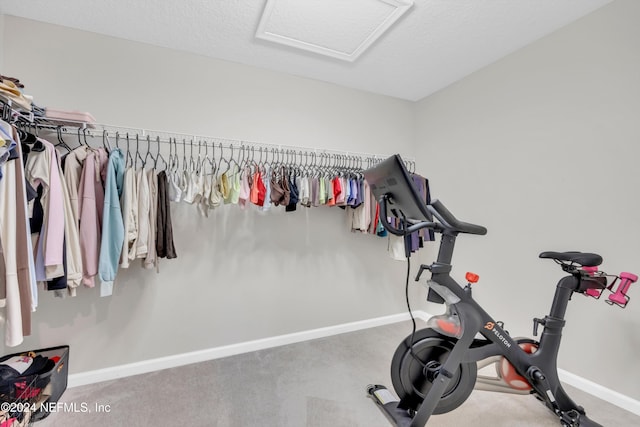 exercise area featuring carpet flooring and a textured ceiling