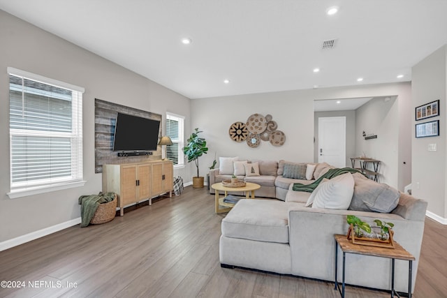 living room featuring hardwood / wood-style flooring and a wealth of natural light