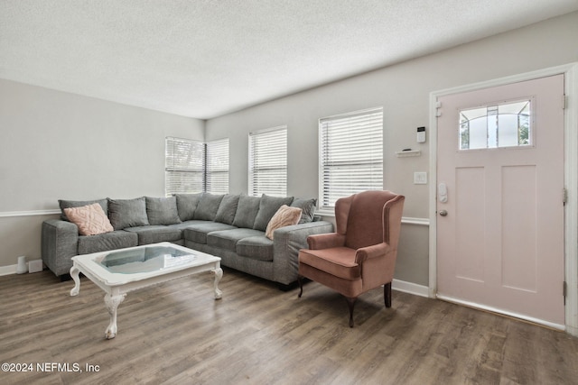 living room featuring hardwood / wood-style flooring, plenty of natural light, and a textured ceiling