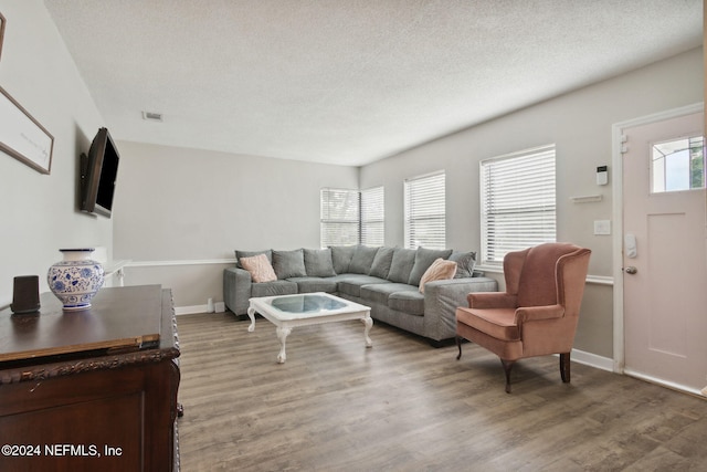 living room with wood-type flooring and a textured ceiling