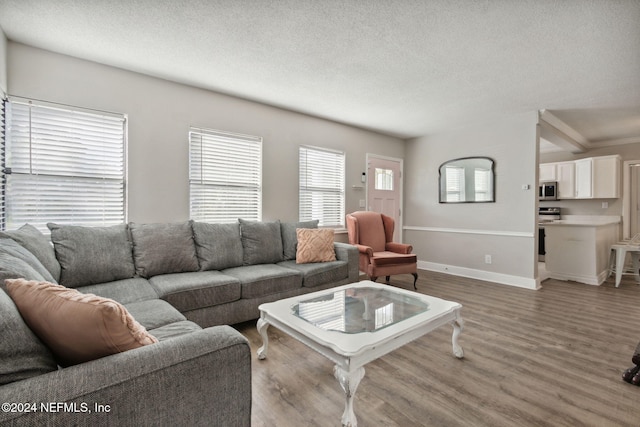 living room featuring a textured ceiling and light hardwood / wood-style flooring