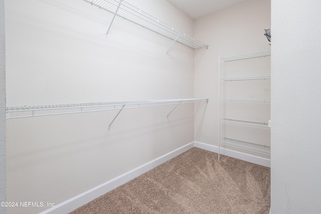 walk in closet featuring carpet