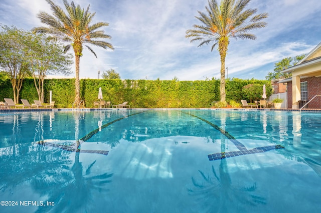 view of swimming pool