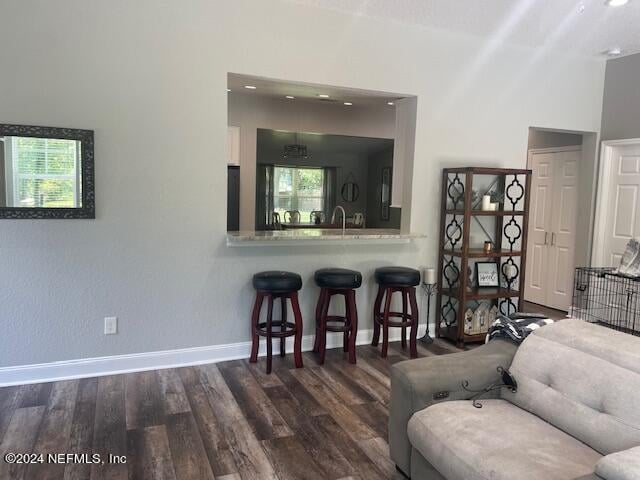 living room featuring a healthy amount of sunlight, sink, and dark hardwood / wood-style floors