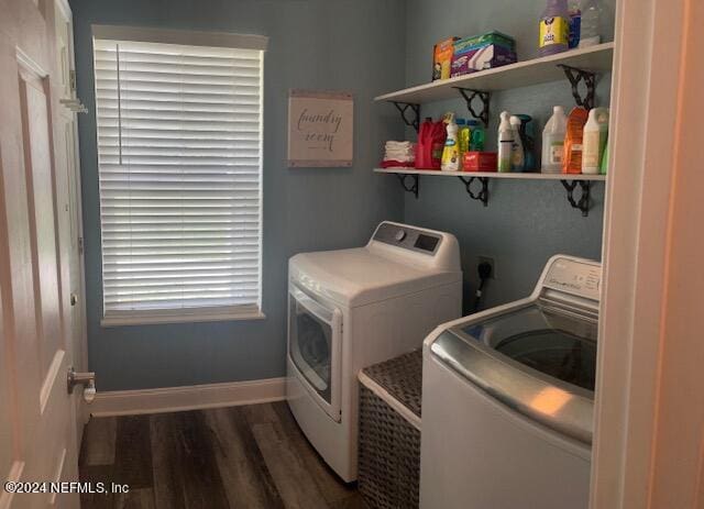 clothes washing area featuring dark wood-type flooring and separate washer and dryer