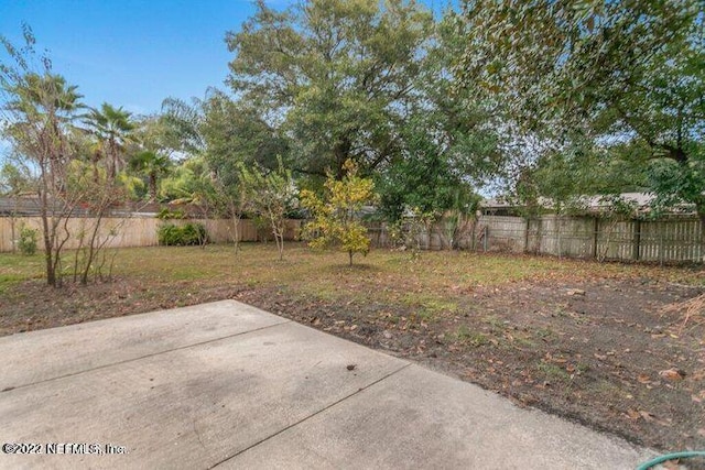 view of yard featuring a patio area