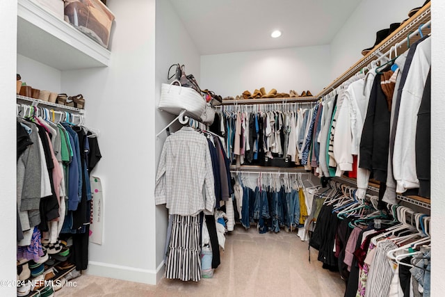 spacious closet featuring carpet