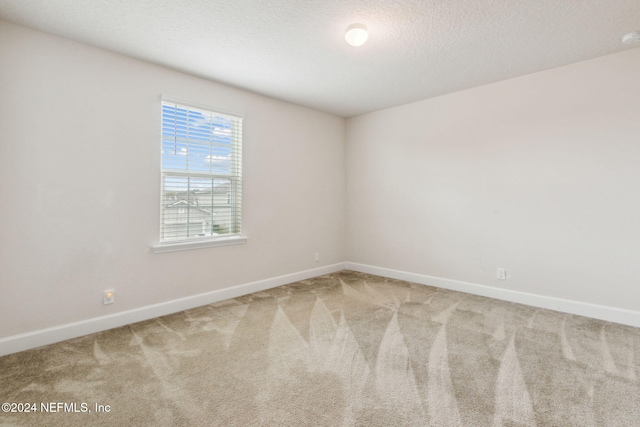 spare room with carpet floors