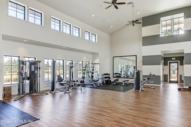 exercise room with hardwood / wood-style floors, ceiling fan, and a high ceiling