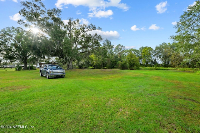 view of yard