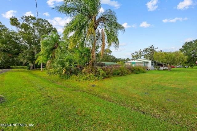 521 State Rd 207, East Palatka, FL 32131 - view of yard