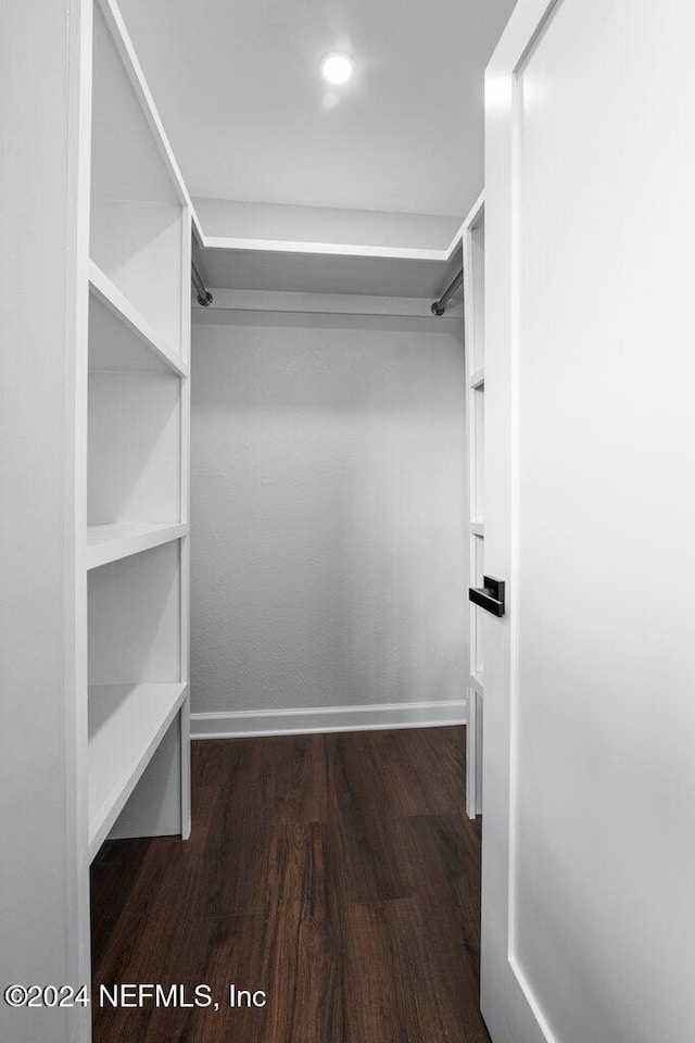 spacious closet featuring dark hardwood / wood-style floors