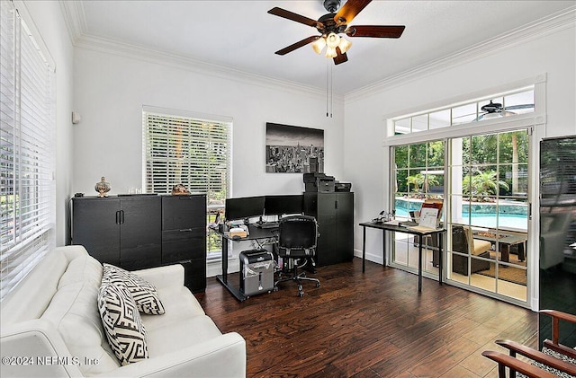 office space with ornamental molding, a wealth of natural light, dark wood-type flooring, and ceiling fan