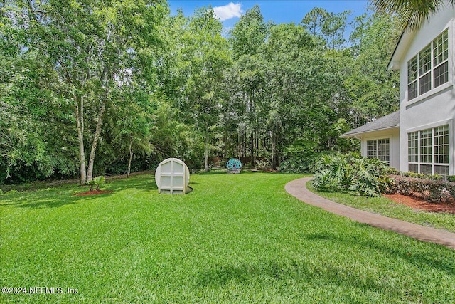 view of yard with a storage shed