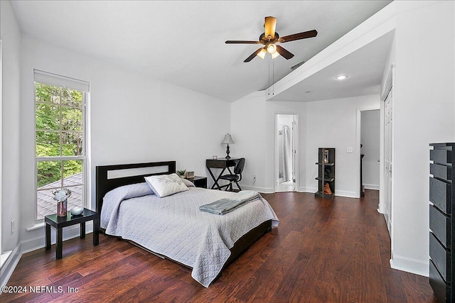 bedroom featuring ceiling fan and dark hardwood / wood-style floors