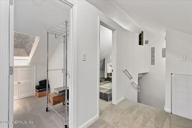 interior space with light colored carpet, a textured ceiling, and vaulted ceiling with skylight