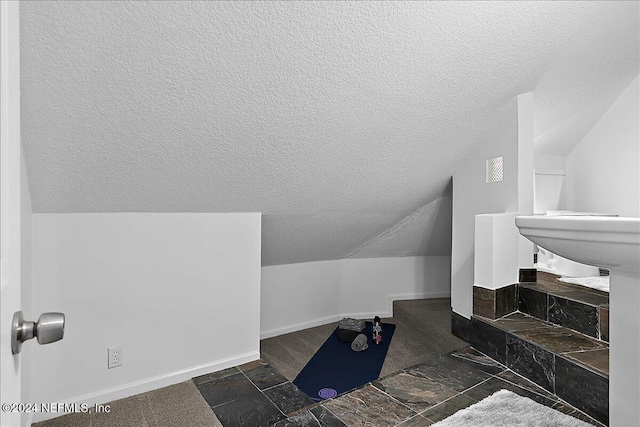 bathroom featuring a textured ceiling and vaulted ceiling