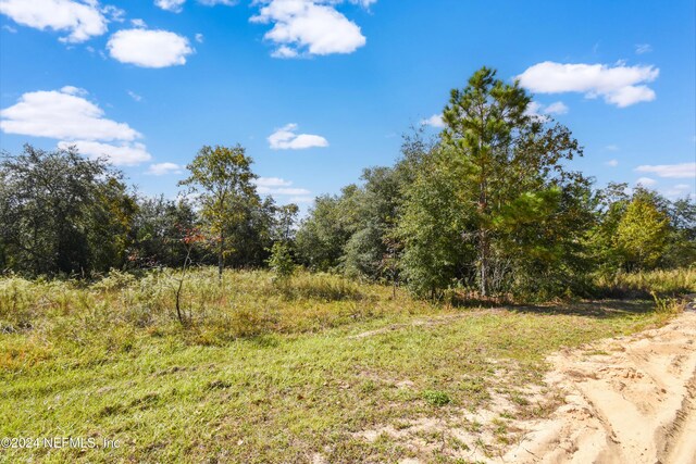 5825 Sequoia Rd, Keystone Heights, FL 32656 - photo 2