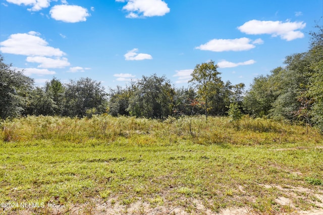 5825 Sequoia Rd, Keystone Heights, FL 32656 - photo 9