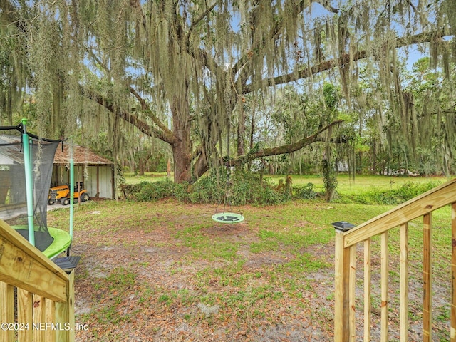 view of yard with a storage shed