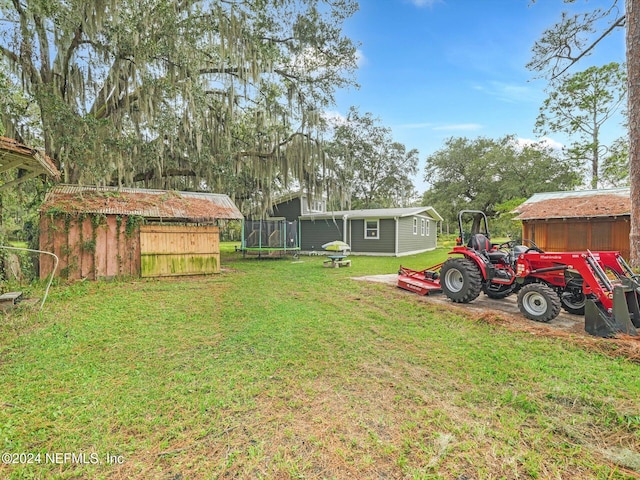 view of yard featuring a trampoline and a storage unit