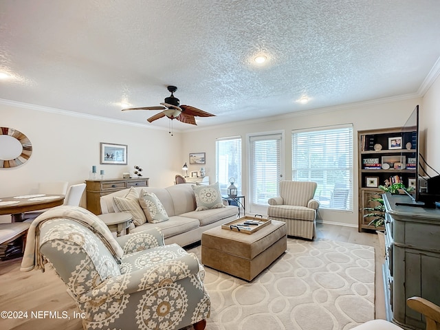 living room featuring ceiling fan, a textured ceiling, ornamental molding, and light hardwood / wood-style flooring