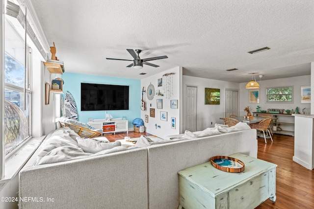 living room with wood-type flooring, ceiling fan, and a textured ceiling